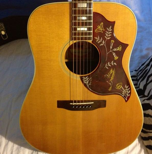gibson hummingbird