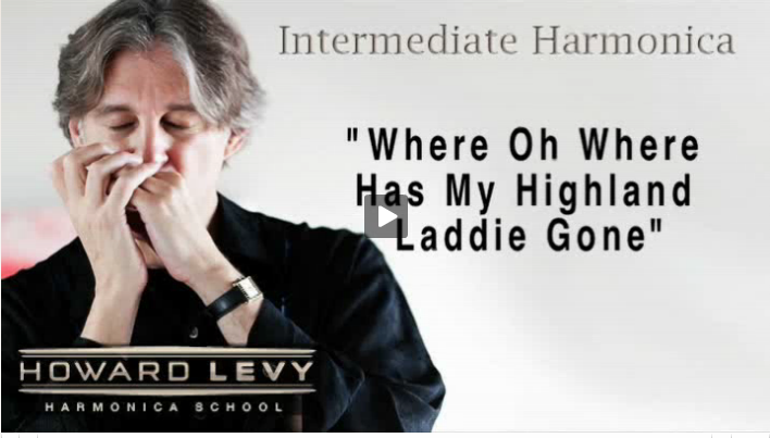 harmonica lesson
