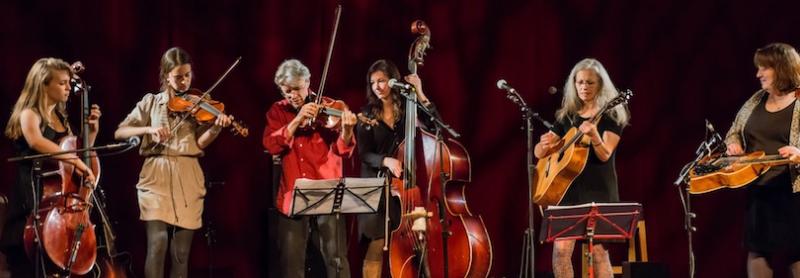 darol anger and the republic of strings