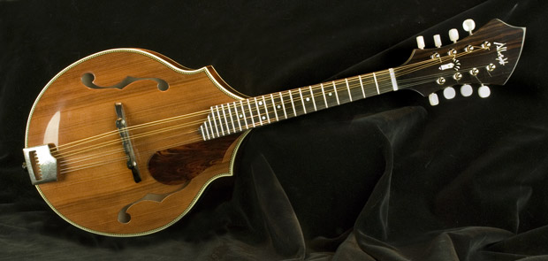 sam albright mandolin