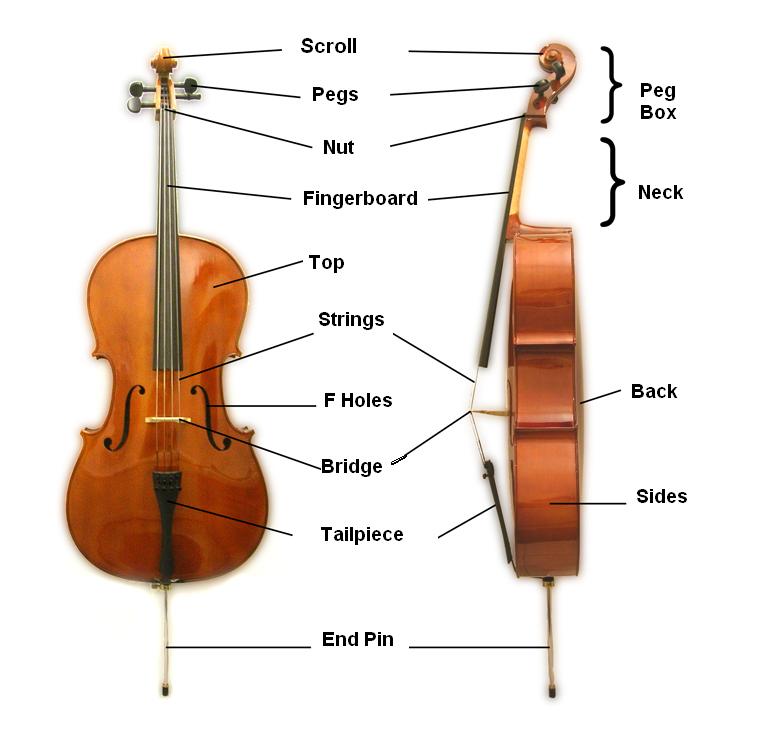 parts of a cello