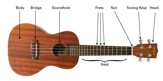 parts of the ukulele